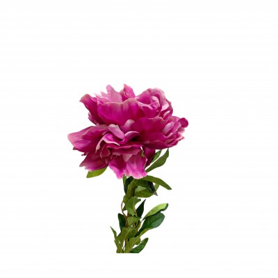 Peonia 117 cm